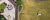 Lorem ipsum