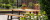PhotOle_0024.JPG